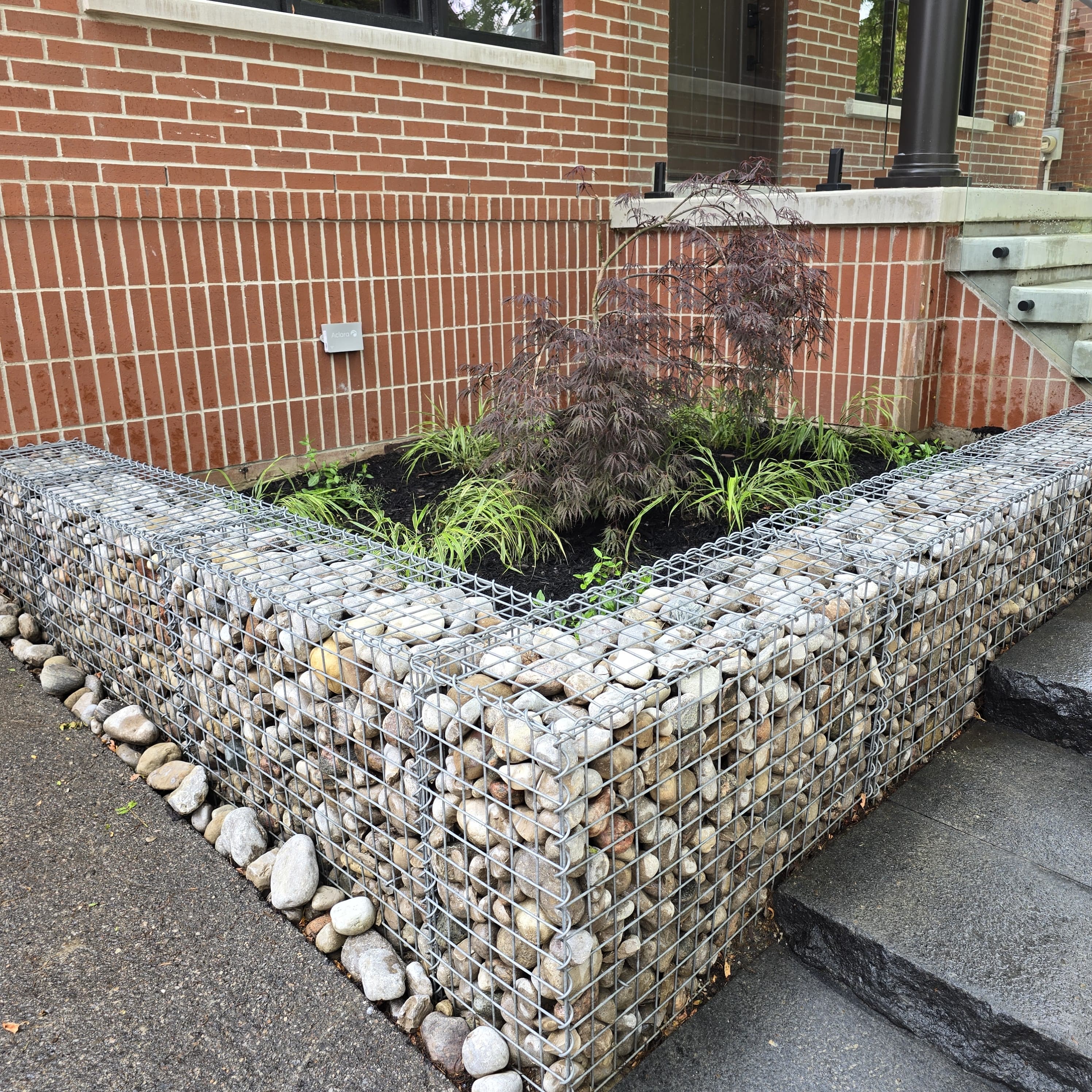 Softscaping & Planting - Cavemen Landscapes Toronto
