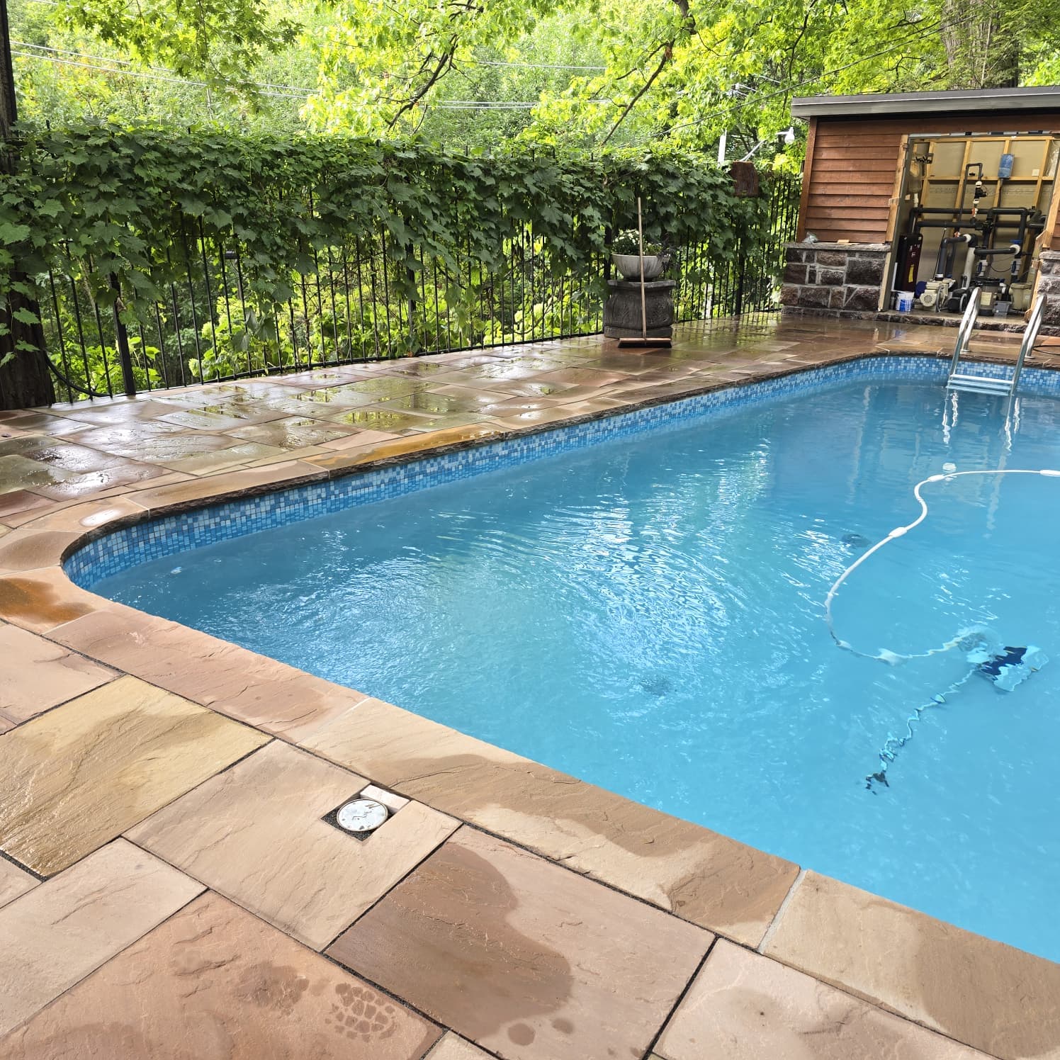 The Poolside Retreat - residential project in Toronto, ON